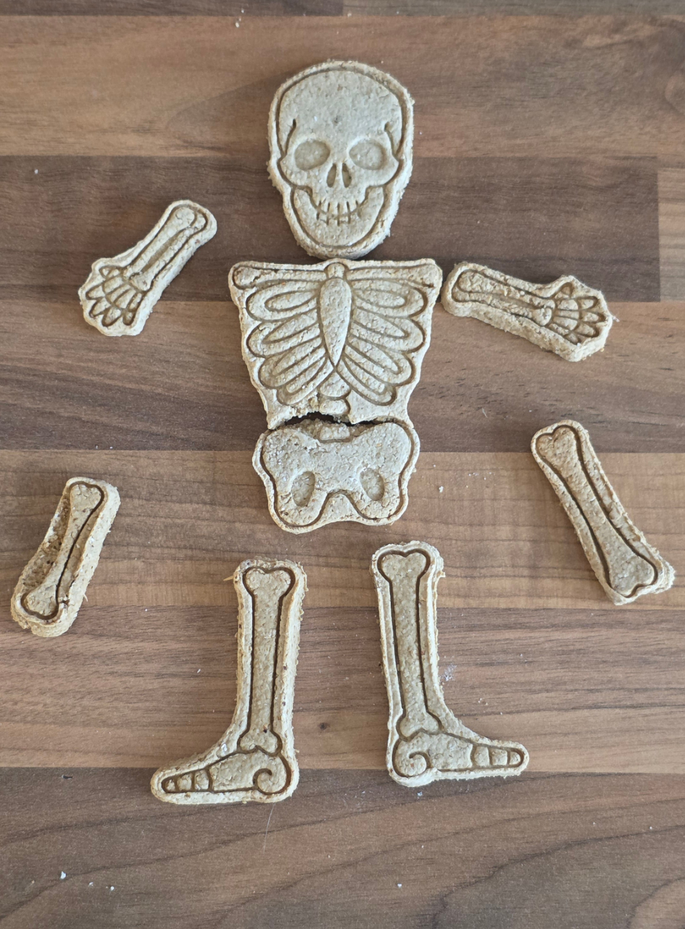 Skeleton