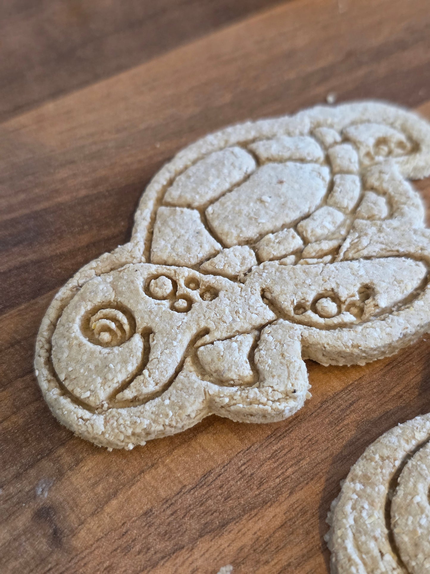 Turtle biscuits