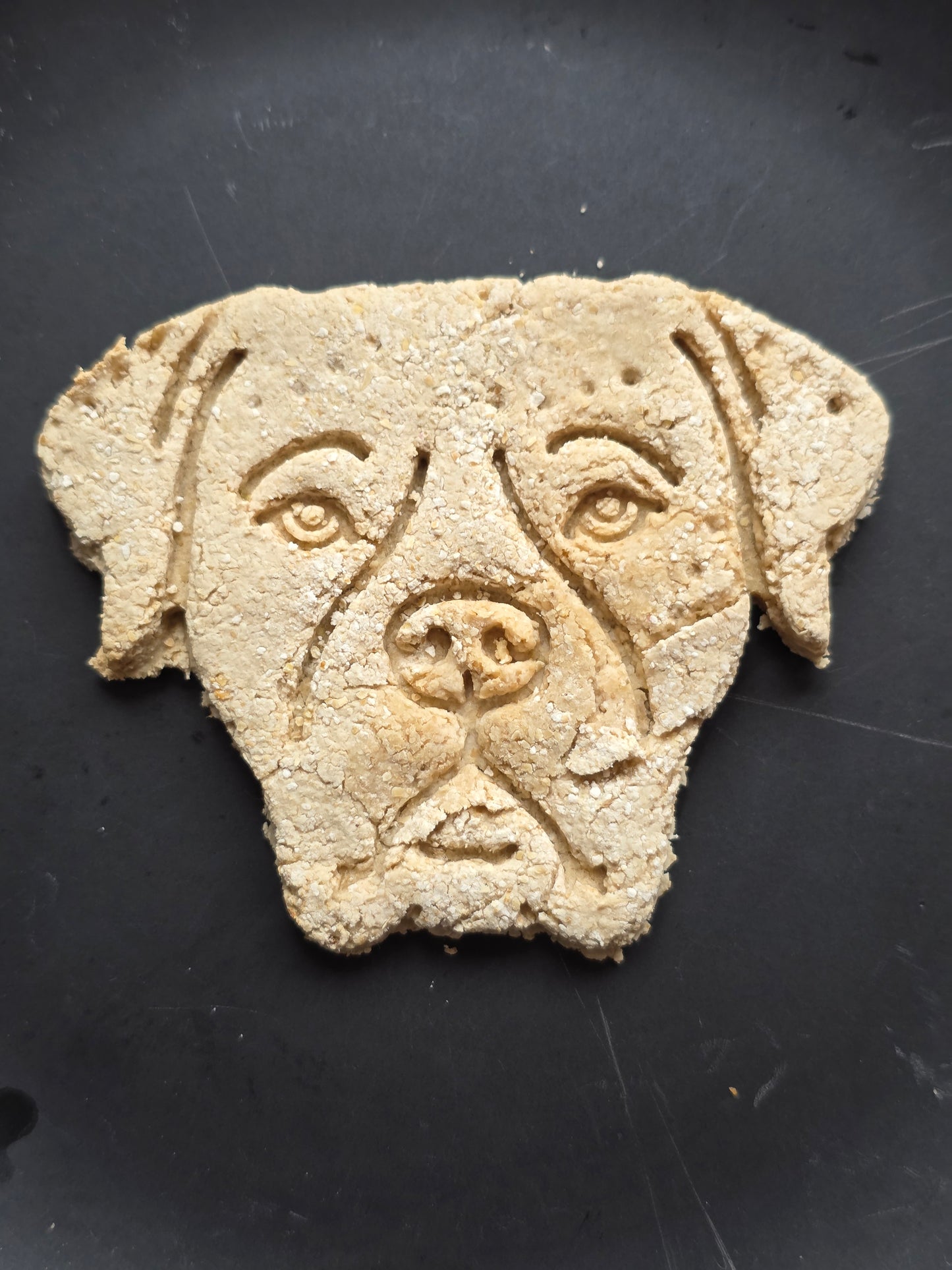 Dog breed heads