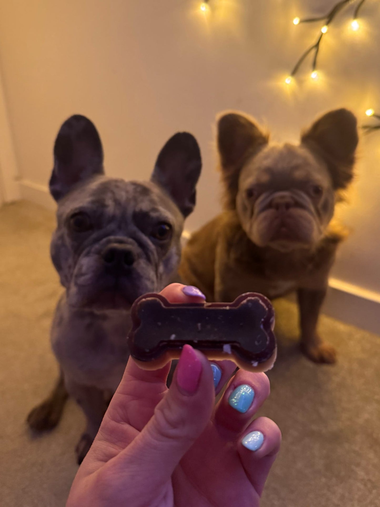 Chocolate treat packs