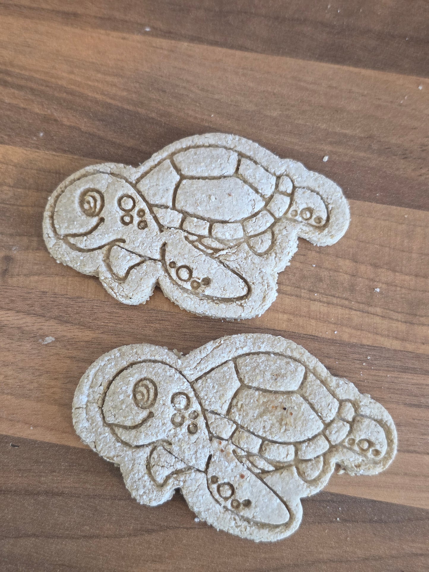 Turtle biscuits